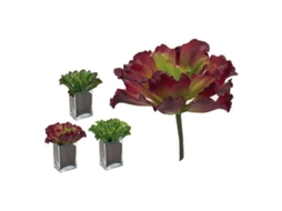 Planta Decorativa IBERGARDEN (23 X 22 X 22 Cm)