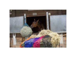 Rede Feno Castanho 104 X 8 Cmnorton Equestrian