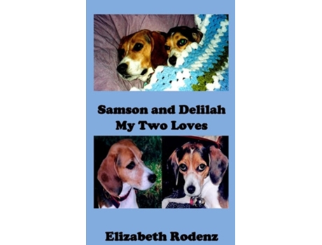 Livro Samson And Delilah De Elizabeth Rodenz (inglês - Capa Dura)