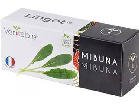 Semente VÉRITABLE Mostarda Japonesa Mibuna Lingots