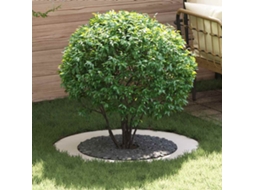 Vidaxl Adequado Para Anéis De Árvore Planos 5 Unid. Branco Ø60/90 Cm