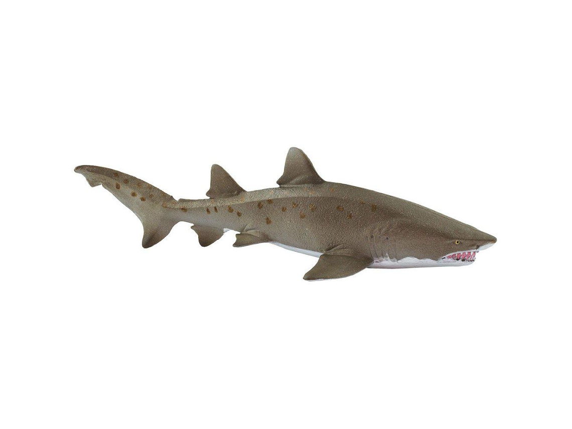 SAFARI Sand Tiger Shark