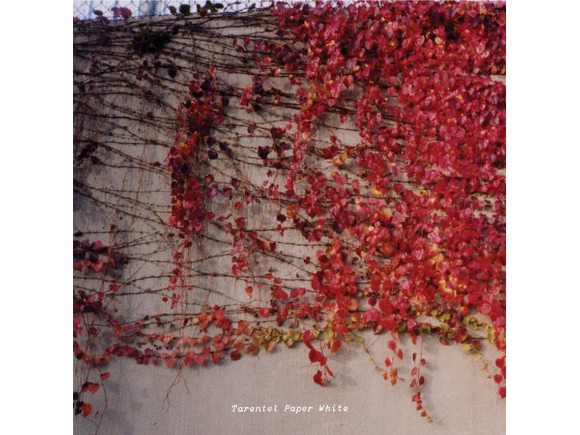 CD Tarentel - Paper Wheels (1CDs)