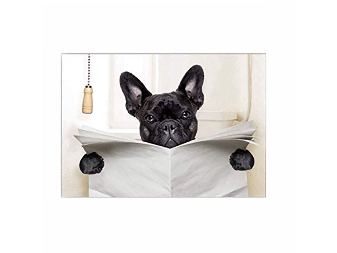 Quadro Decorativo Cão Engraçado Lendo Jornal Para Ambiente Interior
