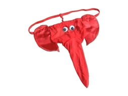 Braguitas Para Hombre Elefante G-string Calzoncillos Sexy Lencería De Poliéster Talla Única Rojo