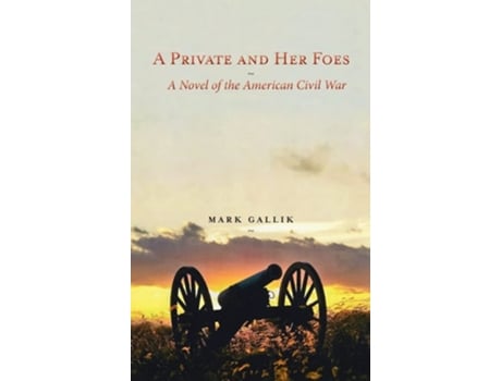 Livro A Private And Her Foes A Novel Of The American Civil War De Mark Gallik (inglês - Capa Dura)