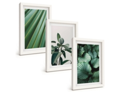 Composição De Quadros Folhas Tropicais Estéticas Espelharte (3 Peças 20x30 Cm)
