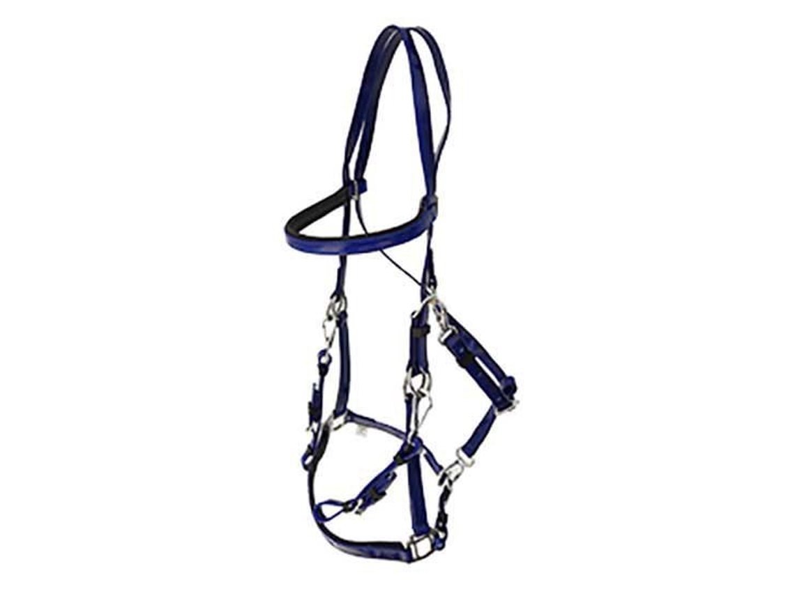 Reide Halter Biothane Azul Coblexhis