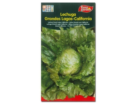 Semillas fito horticolas lechuga  g. lagos california 00209 (caja 10 unidades)
