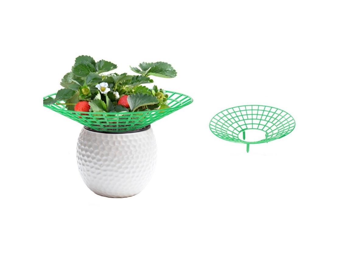 Soporte Para Fresas De 30x30 Cm
