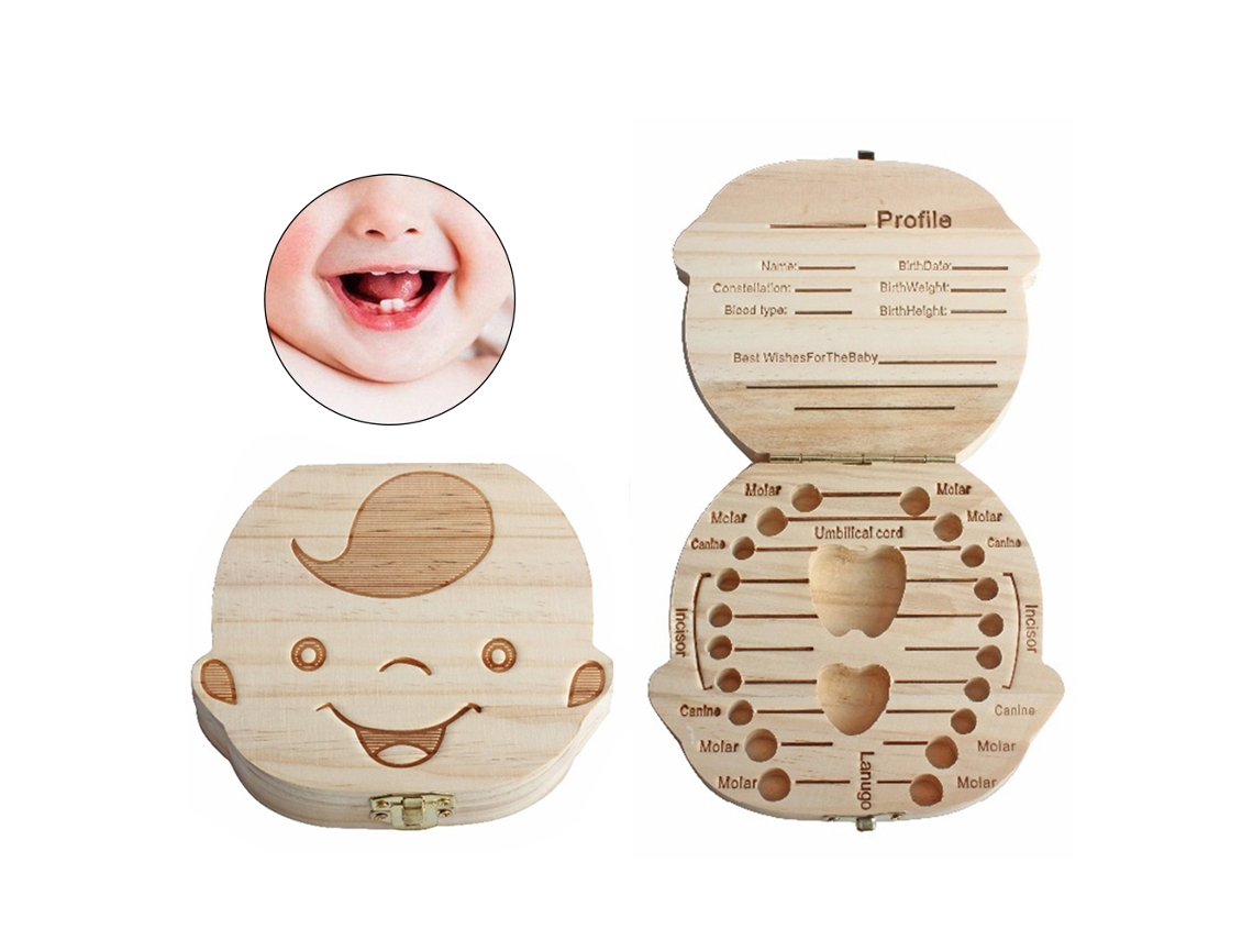 Caixa de Memória de Dentes LAXISCREED