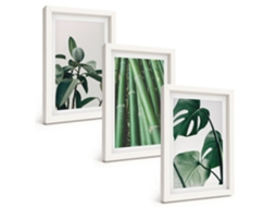 Composição De Quadros Hastes De Bambu E Folhas De Monstera Espelharte (3 Peças 20x30 Cm)