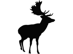 Adesivos Muraux Faune Natureza Bois Wapitis Autocollants Chambre Enfants Chambre Design Mural Décalcomanie Decoração Murale