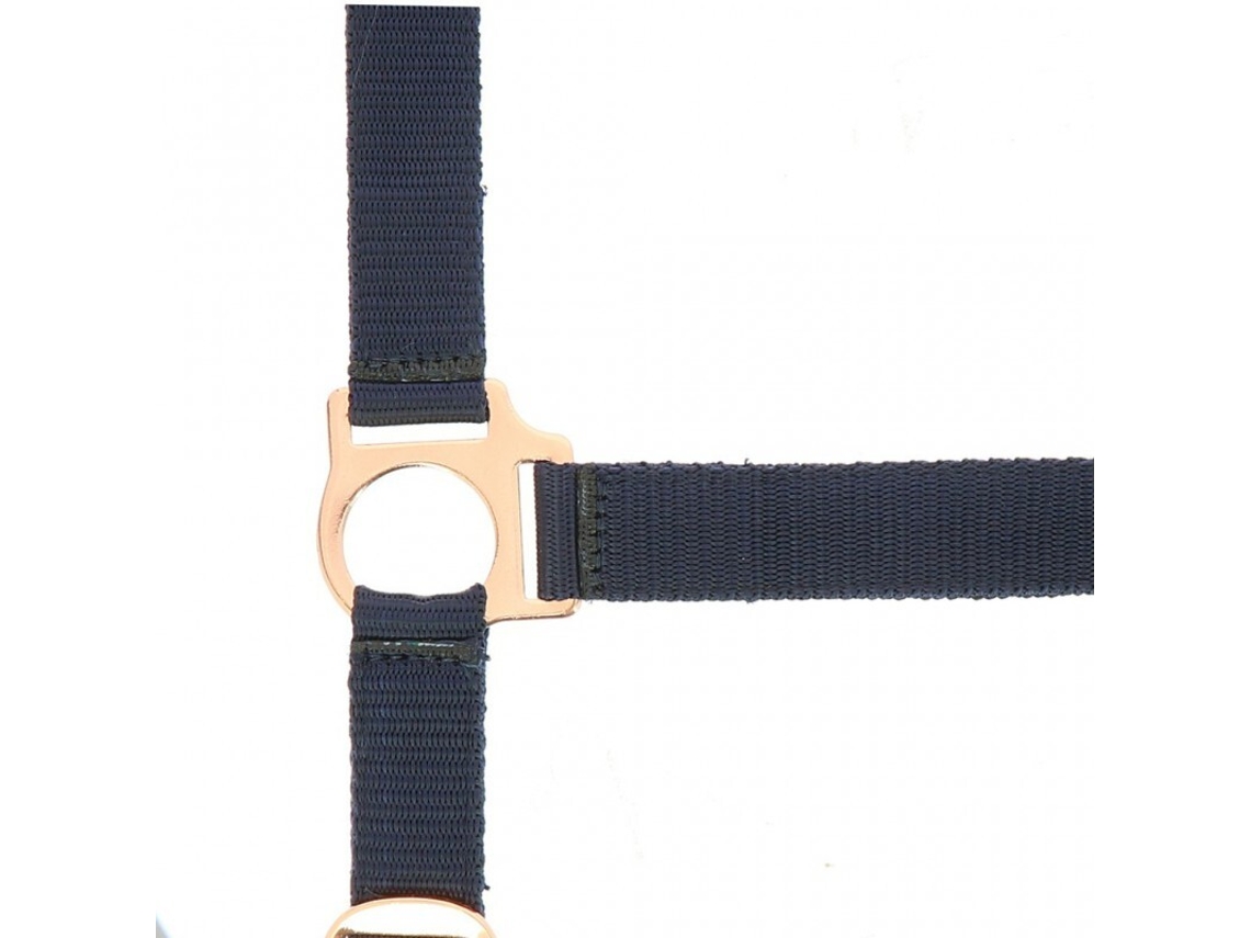 Cabresto para cavalos Norton Rose gold