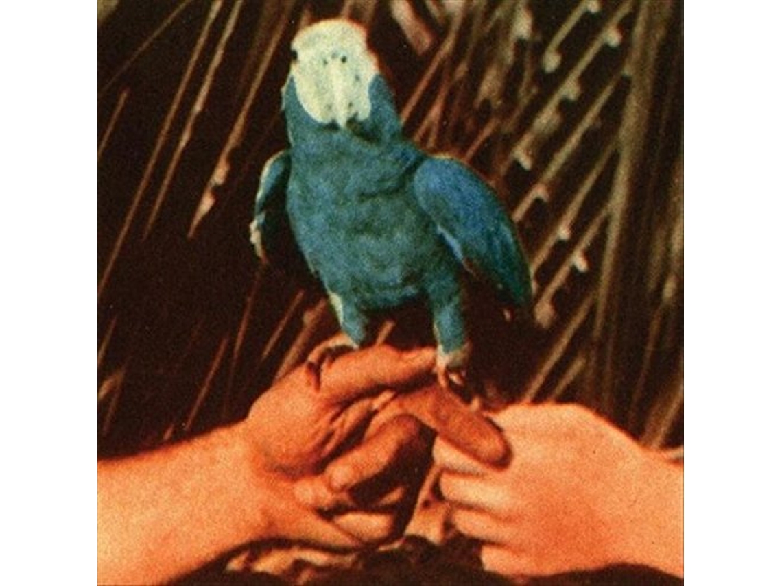 Vinil Andrew Bird - Are You Serious