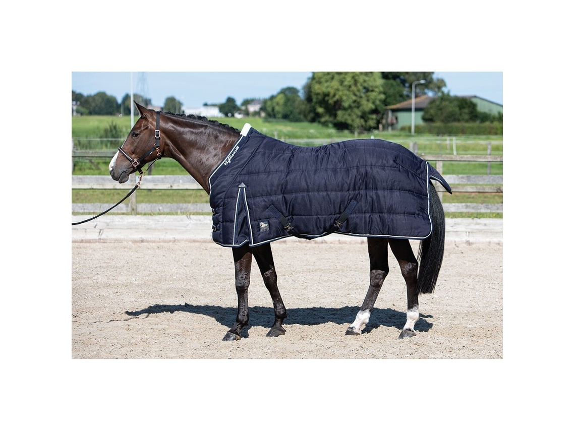 Cobertor estável para cavalos Harry's Horse Highliner 500 gr 175 cm