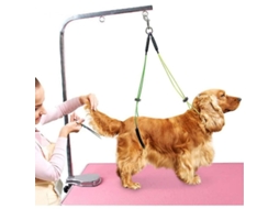2026-mesa De Peluquería Para Mascotas Com Correia De Pescoço E Tornozelo Ajustável Aço Inoxidável 62/50cm Amarelo+cinza Rum