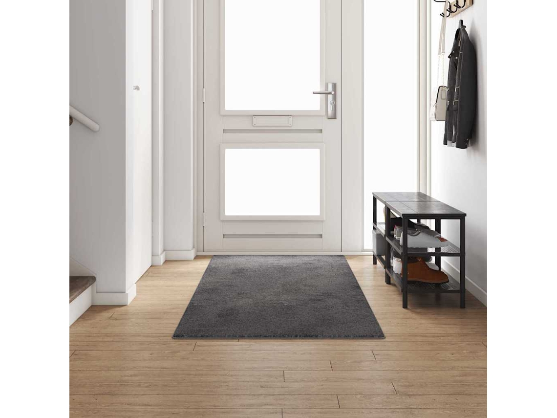 Vidaxl Runner De Carpete Cinzento 100 X 300 Cm 100% Polipropileno Tuft