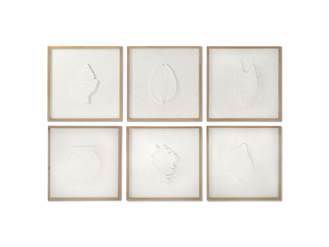 Pintura Dkd Home Decor Conchas Mediterrâneo 6 Unidades 50 X 2 X 50 Cm