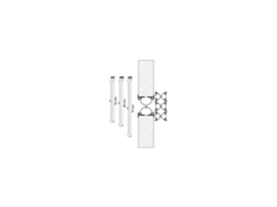 Proteção Anti-Entalamento de Dedos para Porta de Batente N2 Altura 2240Mm Ellen 7003403