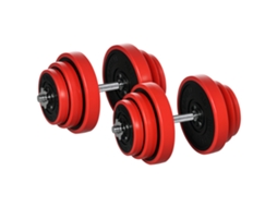 Kit de Pesos BTFORUS 40kg com 8 discos e 2 halteres de 2kg