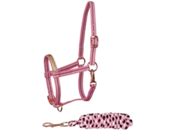 Conjunto de cabresto para potro Harry's Horse