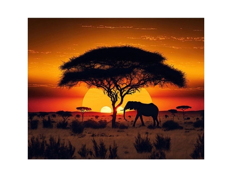 Kit De Pintura Diamante Paisagem De Savana Pôr Do Sol 40x50cm Ctop