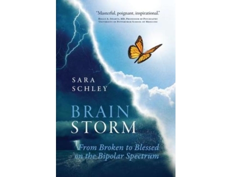 Livro Brainstorm De Sara Schley (inglês)
