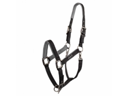 Cabresto de Couro para Cavalos ANKY Grooming