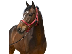 Cabeçada Grooming Vermelho Ponynorton Equestrian