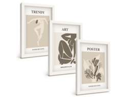 Composição De Quadros Figuras De Plantas Por Matisse Espelharte (3 Peças 20x30 Cm)