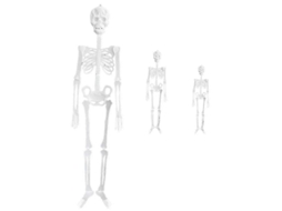 Para 3 Peças De Esqueleto De Halloween Para Decoração De Halloween Ly Ebike