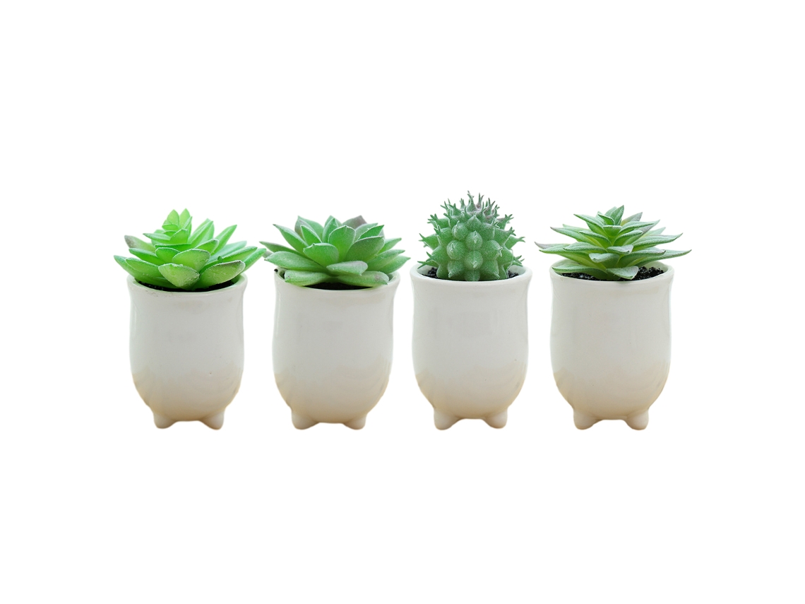 4 Peças de Plantas Suculentas Simuladas em Vaso Ornamentos Criativos Flores Artificiais para Decoração Interior NEVEANCE