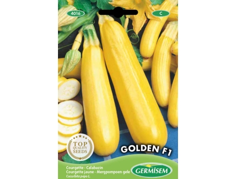 Sementes  Courgette Amarela Golden F1