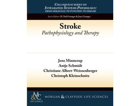 Livro Stroke De Jens Minnerup, Antje Schmidt Et Al. (inglês)