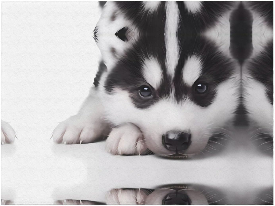 Colcha de Flanela com Estampa Cachorro Husky Macia e Aconchegante para Sofá Quarto 127 X 101 Cm, Macio, Quen