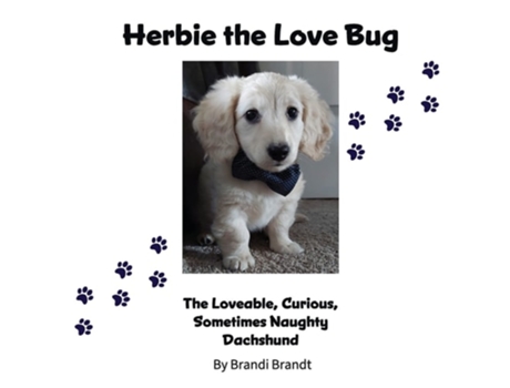 Livro Herbie the Love Bug de Brandi Brandt (Inglês)