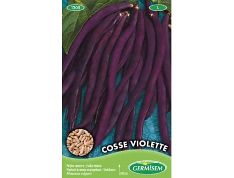 Sementes  Feijão De Trepar Cosses Violettes