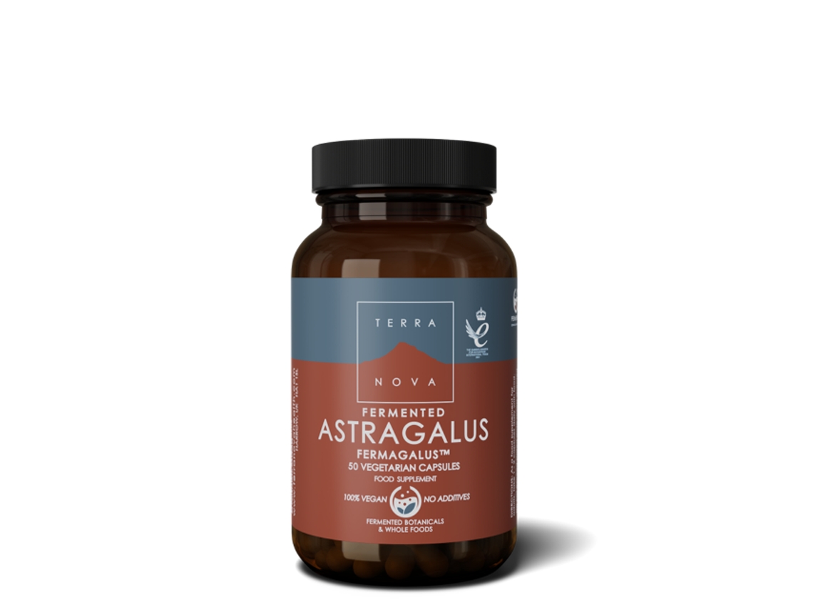 Terranova Fermented Astragalus Fermagalus 50's (Currently Unavailable) (Coming Soon)