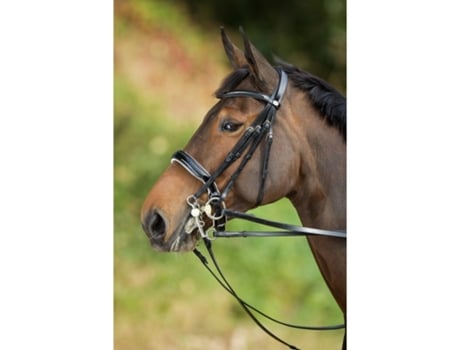 Cabeçotes de cavalo HFI Weymouth