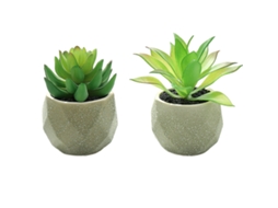 2 Peças de Suculentas de Simulação Bonsai Diamante Grande Ornamentos Pequenos Criativos para Interiores Vaso de Flor Artificial RNEMITERY