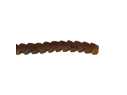 Isca de Truta TROUT MASTER Spring Worm 6 Mm