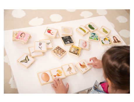 Wooden Lifecycle Tiles TICKIT (Idade minima recomendada: 12 meses)