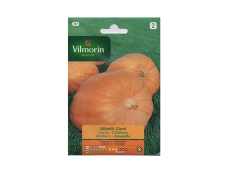 VILMORIN Semillas de Calabaza Gigante Atlantic S-2 Sobre 2 Gr