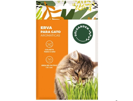 Sementes Aromáticas Erva Para Gatos