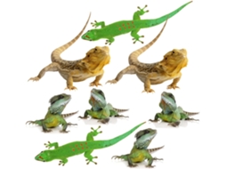 Conjunto Com 2 Adesivos De Lagarto Para Carro E Caminhão, Divertidos