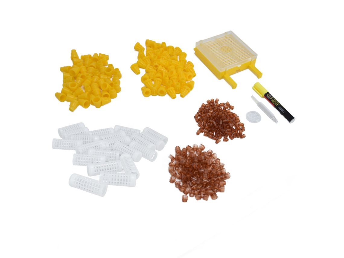 Kit de Criação de Rainhas Apis LAXISCREED