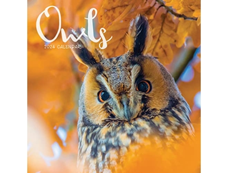 Livro Owls Mini Calendar 2024 de Carousel Calendars (Inglês)