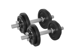 Halter TUNTURI Barras kit 20kg (20kg)