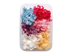 Conjunto De 10 Flores Secas Para Velas Aromáticas E Artesanato Com Laxiscreed